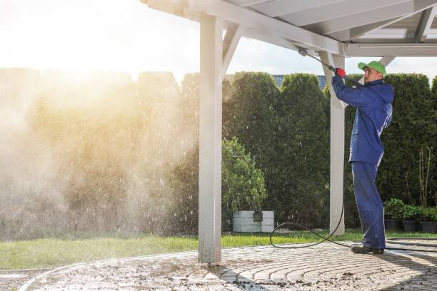 Best Animal Enclosure Cleaning  in Eldorado, IL